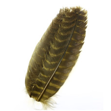 Махові індичі пір'я Wapsi Ozark Turkey Quill, коричневі (STONEFLY BROWN) Махові індичі пір'я Wapsi Ozark Turkey Quill, коричневі (STONEFLY BROWN)